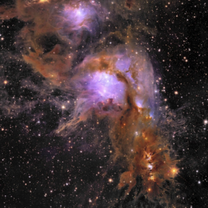 Stars