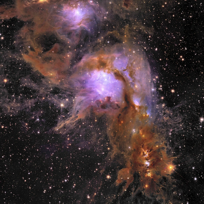 Stars