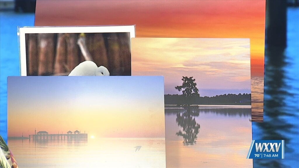Gulfport Arts Center Artist Of The Month