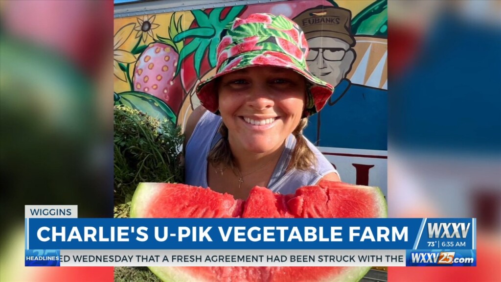 Charlie's U Pik Fruit And Vegetable Farm