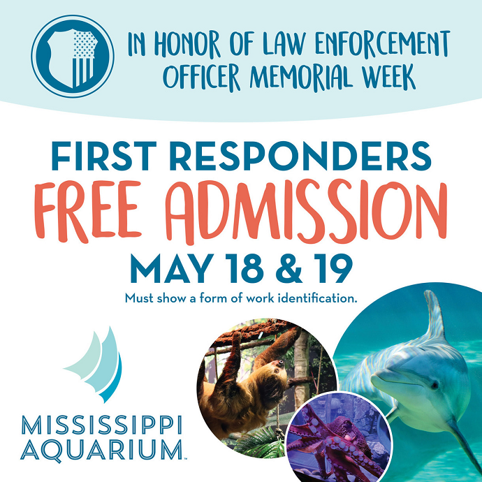 Ms Aquarium