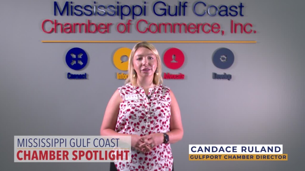 Ms Gulf Coast Chamber Member Spotlight Powerful Minds Counseling