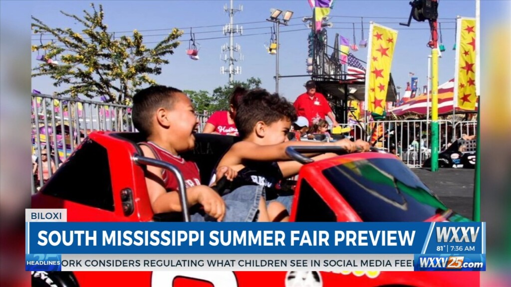Summer Fair Preview
