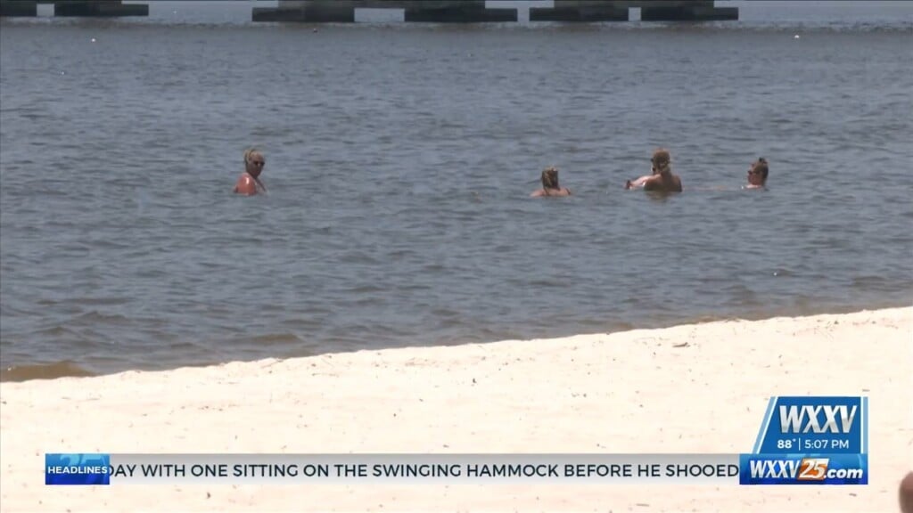 How Likely Are Shark Attacks In Mississippi? An Expert Weighs In