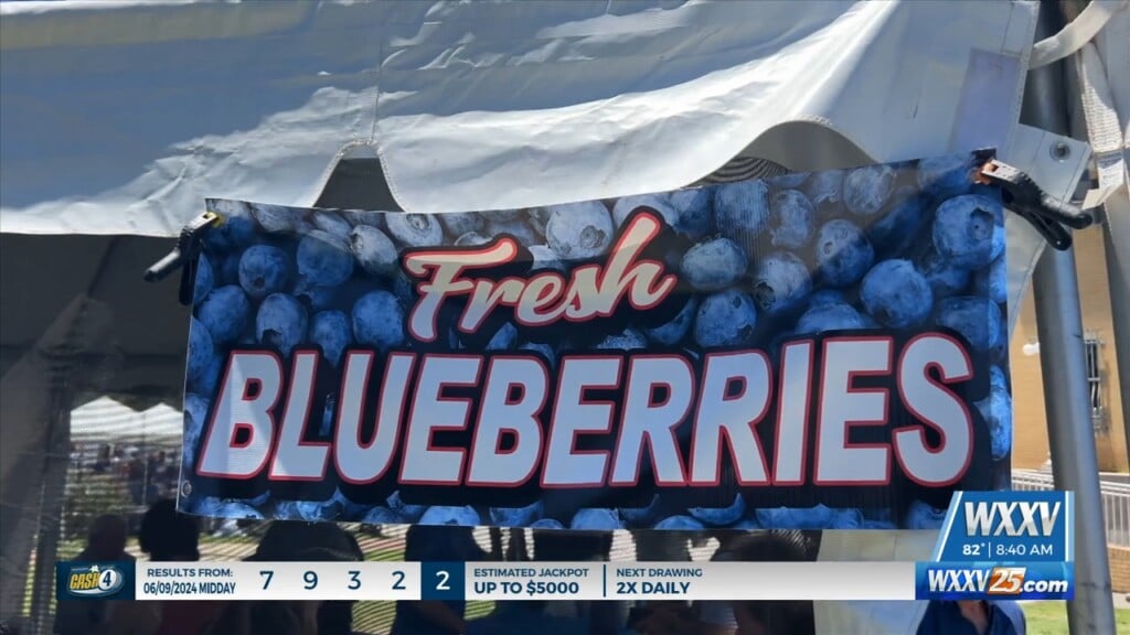 Residents Celebrate At 40th Annual Blueberry Jubilee In Poplarville