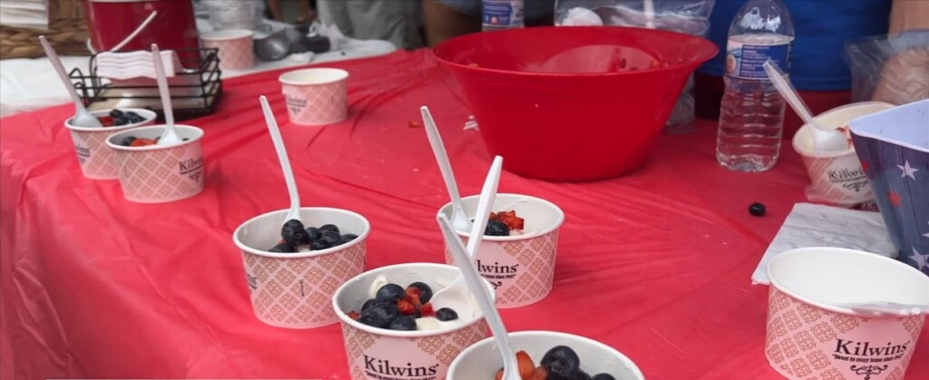19th Annual Red, White, And Blueberry Festival In Ocean Springs