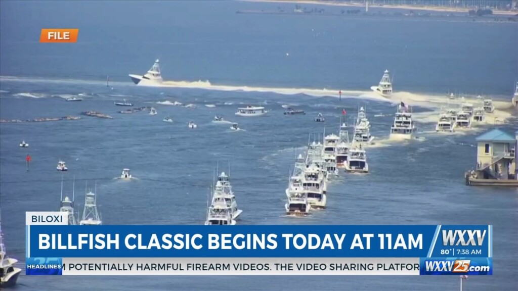 Billfish Classic Preview
