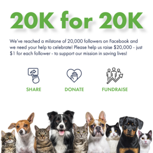 20k