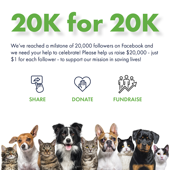 20k
