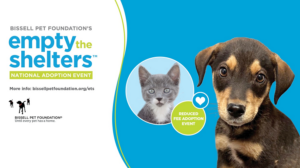 Empty The Shelters