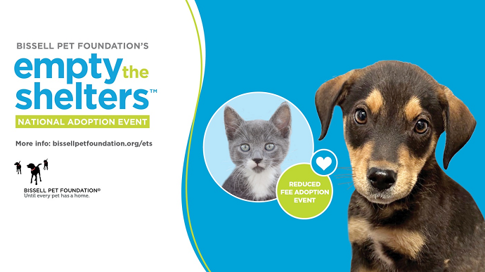 Empty The Shelters