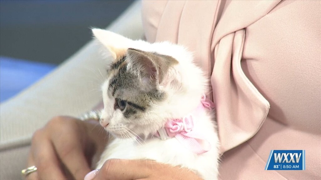 News 25 Pet Of The Week: Marc And Rita