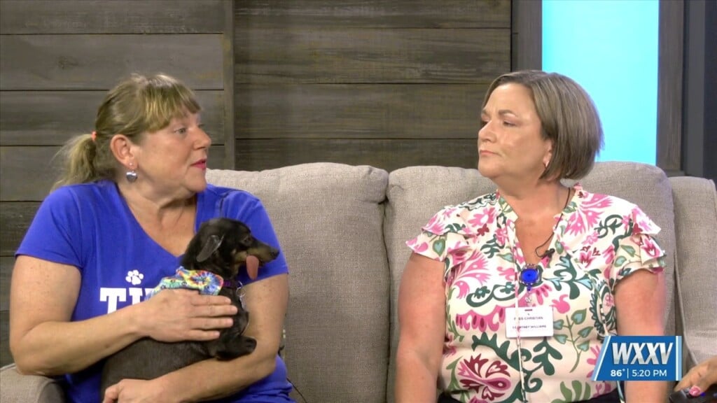 Pet Supply Drive Benefiting Tired Dog Rescue