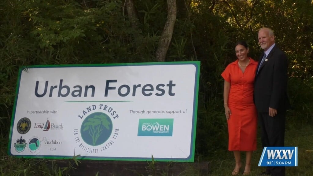 Urban Forest Now Open In Long Beach