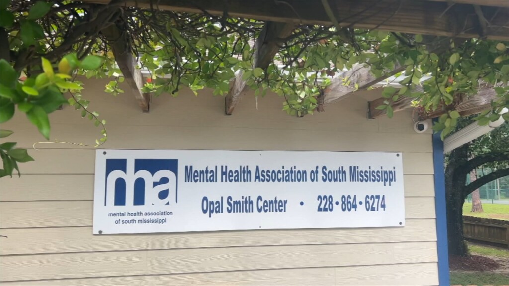 Meggan Monday: Mental Health Association Of South Mississippi