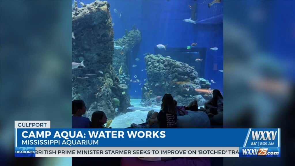 Camp Aqua (mississippi Aquarium)
