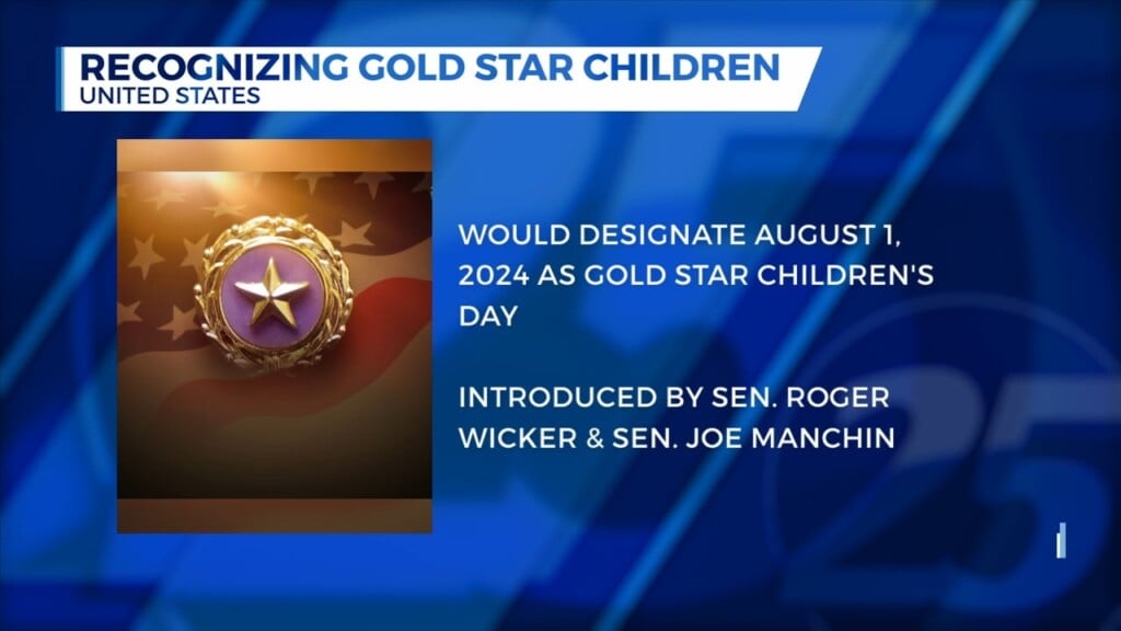 Legislature Introduced To Make August 1st 'gold Star Children's Day'