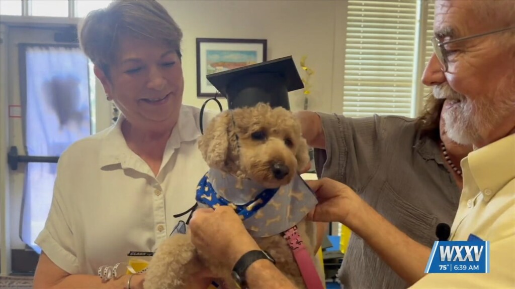 Nine Dogs Graduate To Become Therapy Dogs With Visiting Pet Teams Of South Mississippi