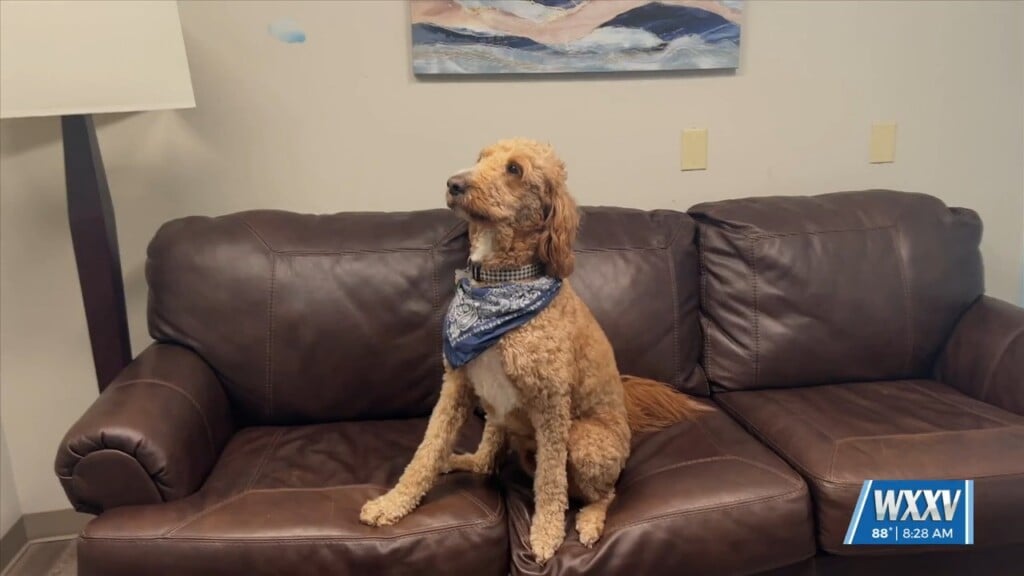 Meggan Monday: Meet Mckenzie The Child Dog Therapist