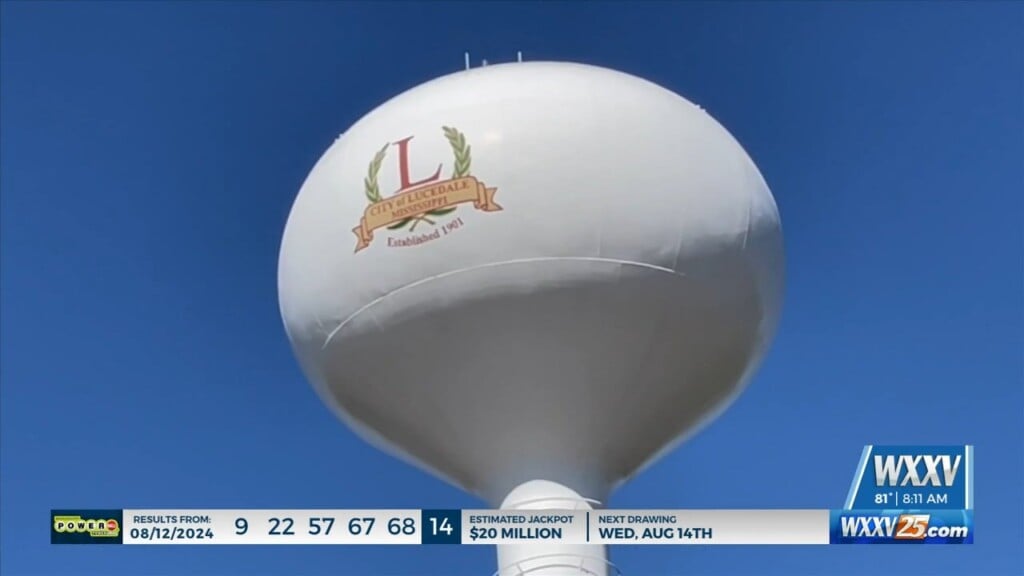 Voters Approve New Taxes In Lucedale