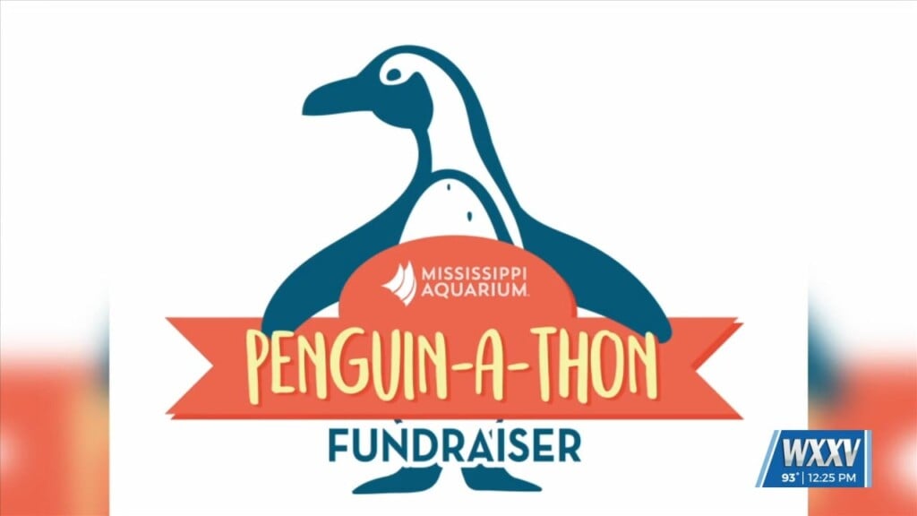 Join The Mississippi Aquarium For Their Penguin A Thon Fundraiser Later Today!