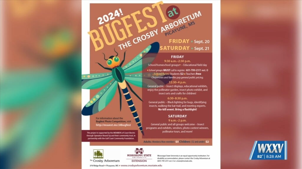 2024 Bugfest At The Crosby Arboretum In Picayune