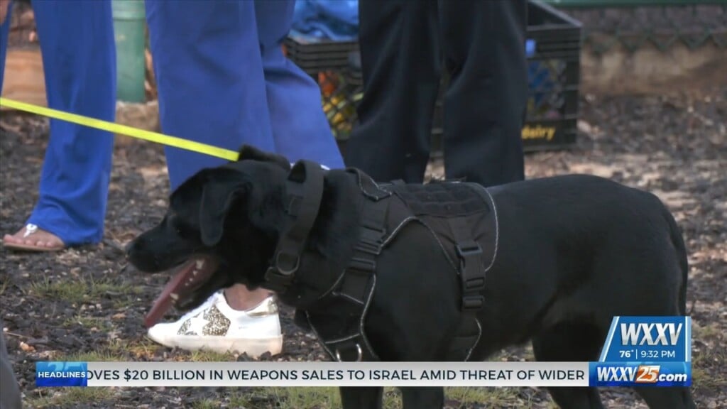 Harrison County Sheriff’s Office Welcomes K9 Rae