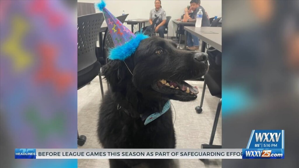 Bay St. Louis Pd Celebrating Service Dog Max’s ‘gotcha Day’