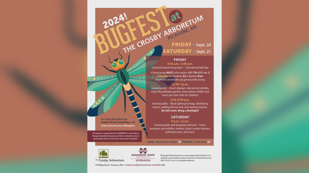 Bugfest