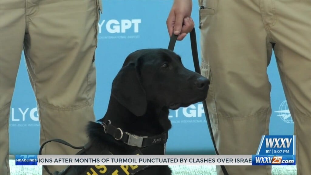 Tsa Holds K9 Explosive Detection Demo At Gulfport Biloxi International