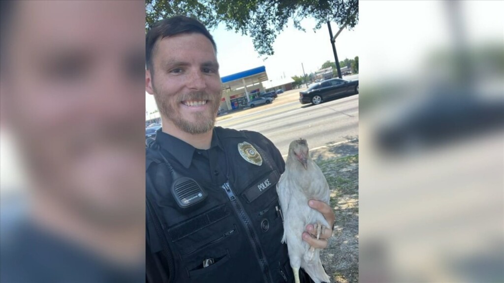 Pascagoula Police Officer Catches Chicken