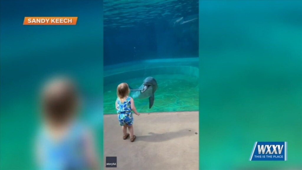 Meggan Monday: Little Girl’s Experience At Mississippi Aquarium Goes Viral!