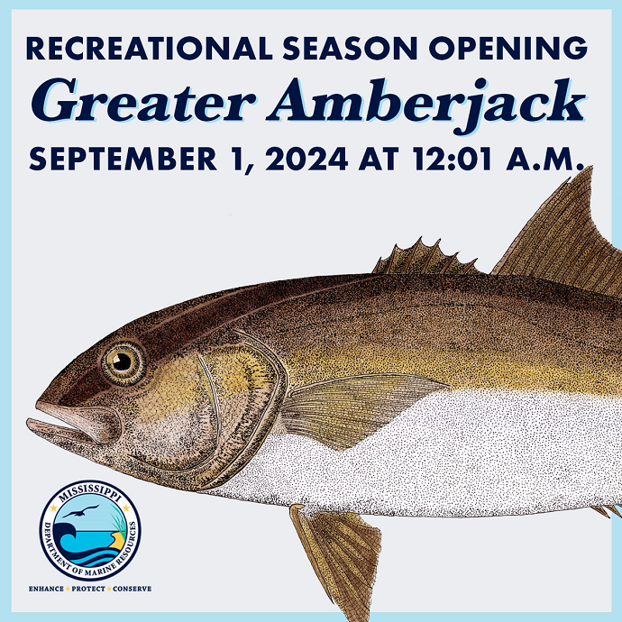 Amberjack
