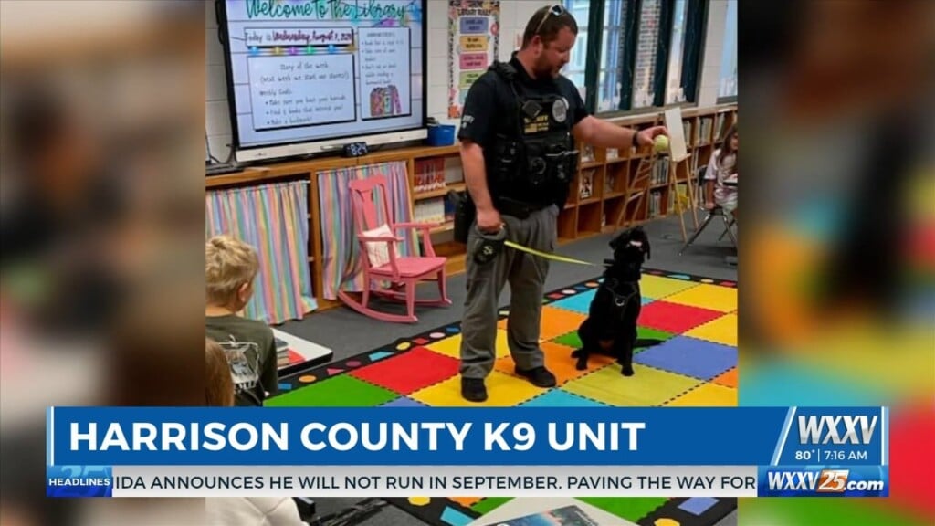 Harrison County's K 9 Rae