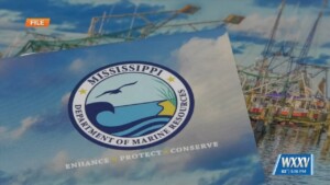 Mdmr Holding Photo Contest For 2025 Calendar