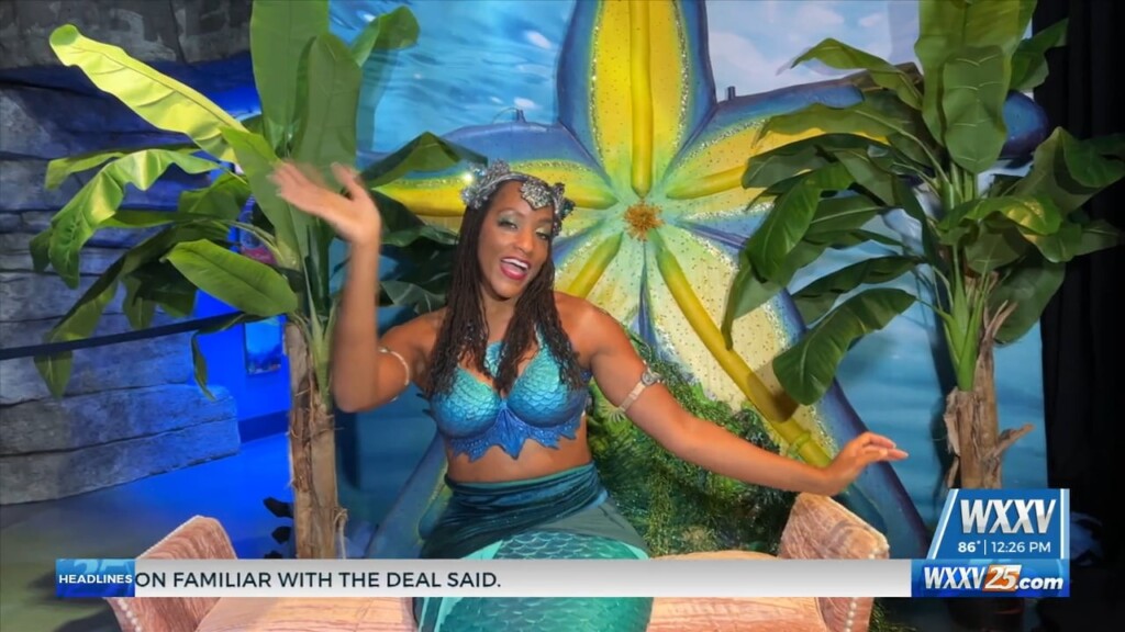 Mermaids Back At The Mississippi Aquarium