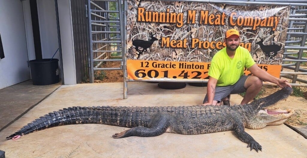 Record Gator 1