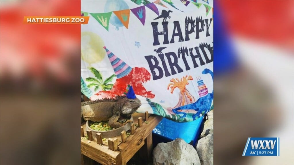 Hattiesburg Zoo Celebrating Greenbean's Birthday