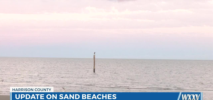 Beaches