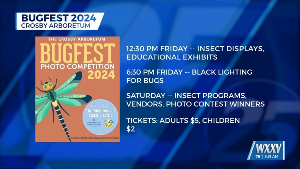 Bugfest 2024 Happening This Weekend