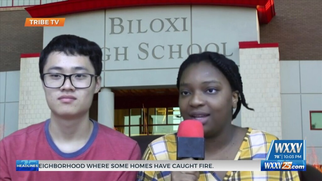 Tribe Tv