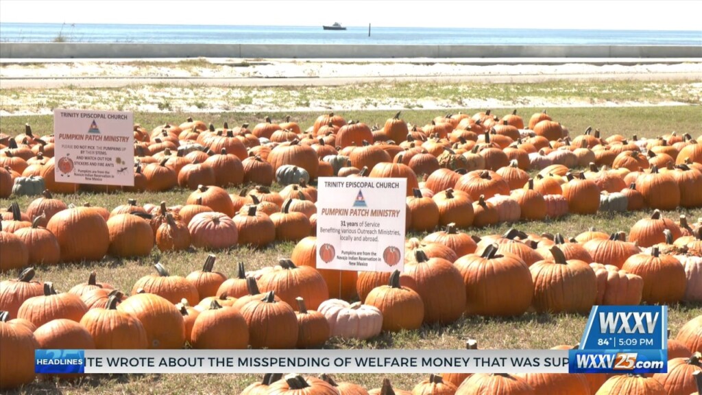 Pumpkin Patch Set Up Along Beach Boulevard At Trinity Episcopal Church