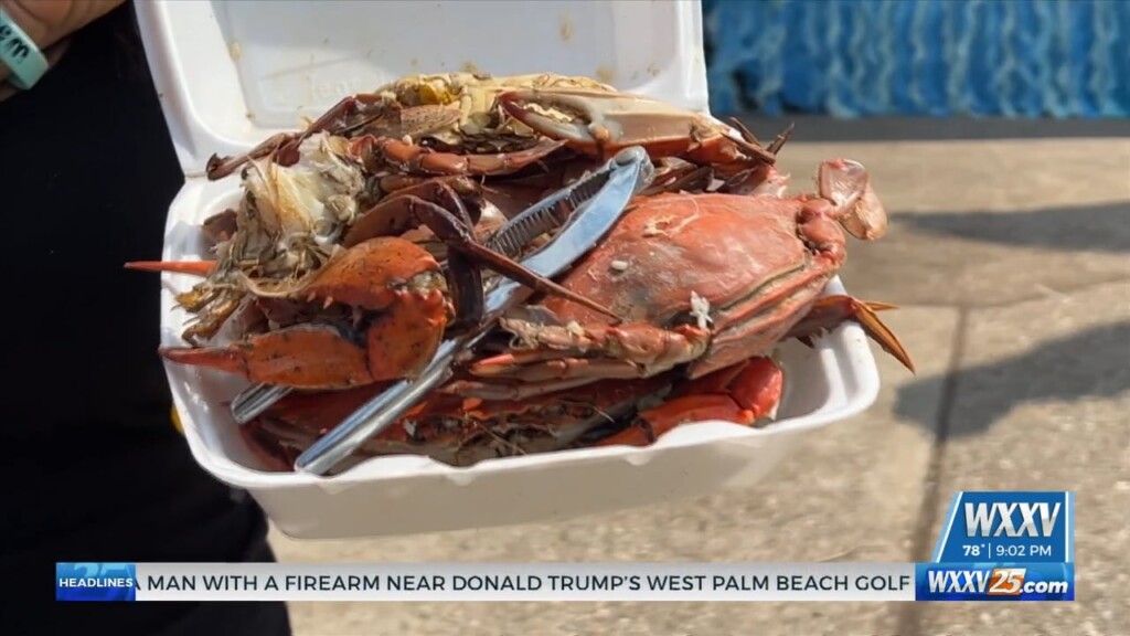 Community Comes Out To 43rd Annual Biloxi Seafood Festival