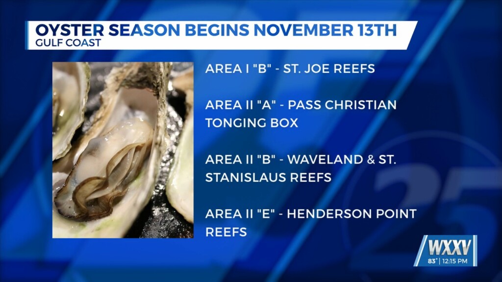 Oyster Season Begins On November 13th