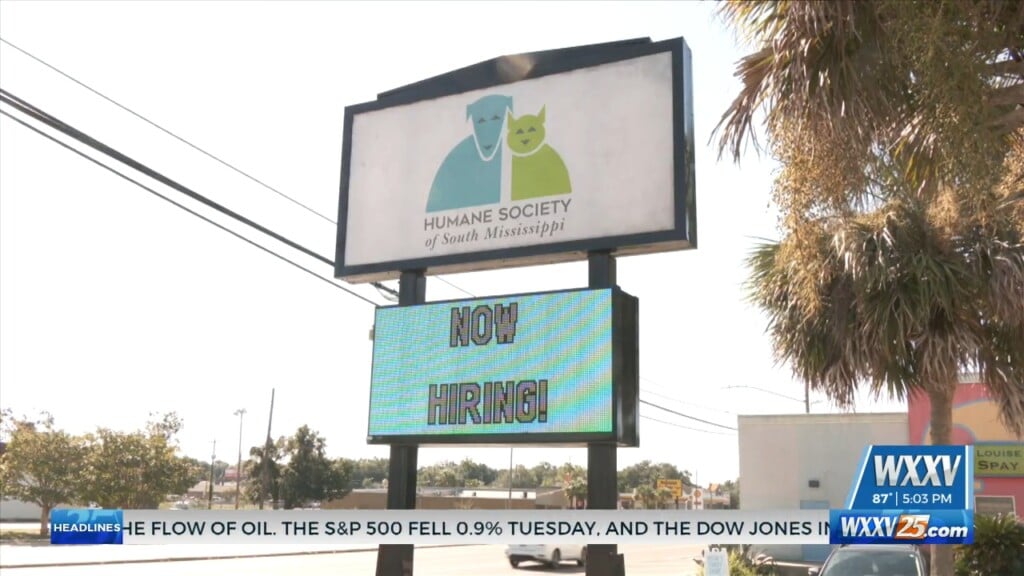 Humane Society Of South Mississippi Offering $13 Adoption Fees