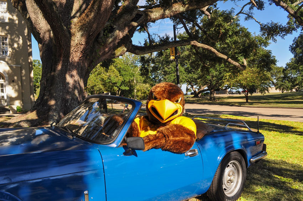 Seymour Cruisin