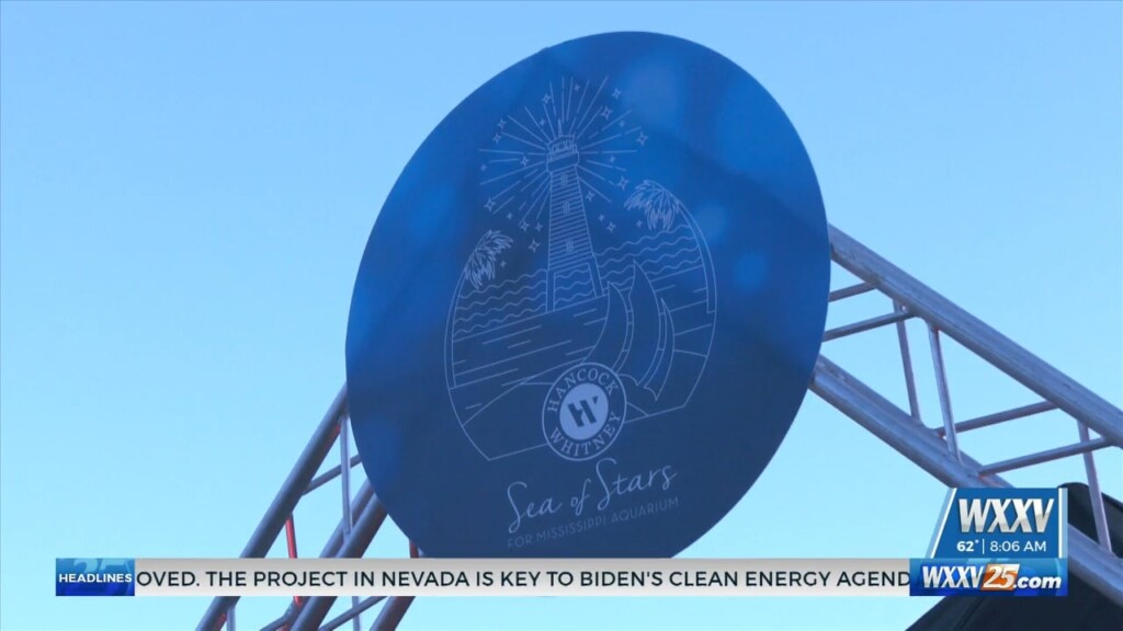 Community Comes Out For Sea Of Stars Fundraiser Benefiting The Mississippi Aquarium