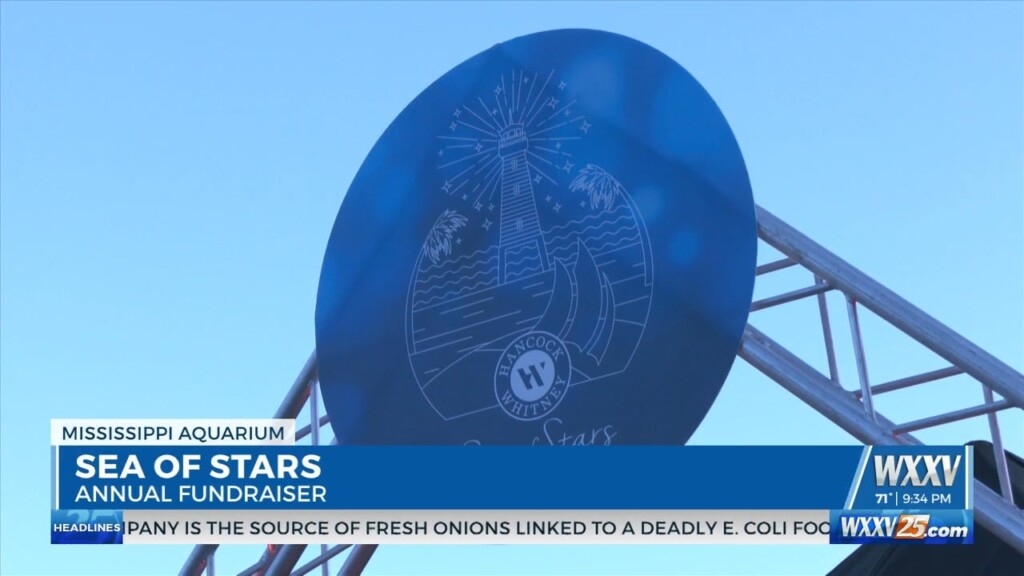 Sea Of Stars Fundraiser With Ceo, Kurt Allen