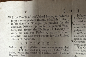 Constitution
