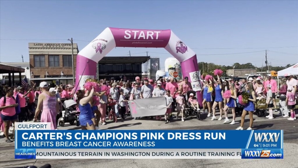 Pink Dress Run